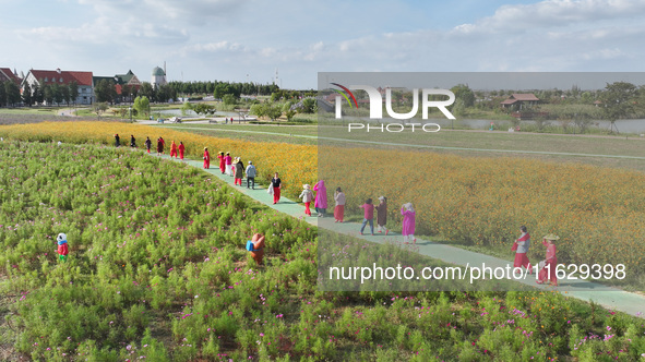 Tourists visit the sea of flowers in Lianyungang, China, on October 2, 2024. 