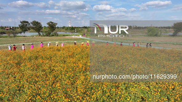 Tourists visit the sea of flowers in Lianyungang, China, on October 2, 2024. 