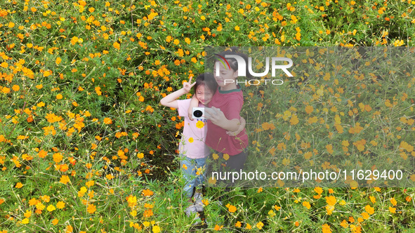 Tourists visit the sea of flowers in Lianyungang, China, on October 2, 2024. 