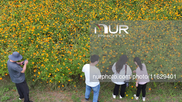 Tourists visit the sea of flowers in Lianyungang, China, on October 2, 2024. 