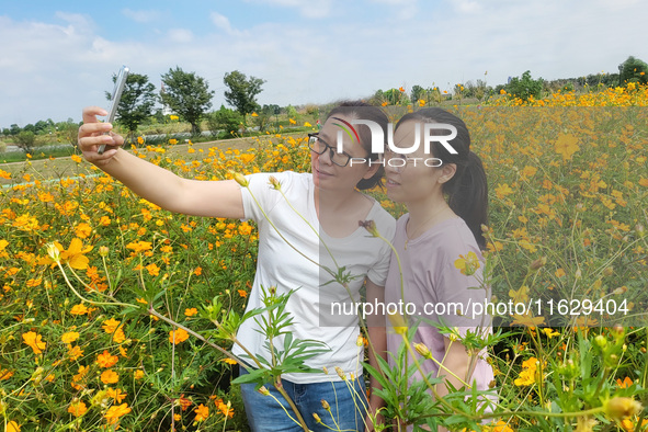 Tourists visit the sea of flowers in Lianyungang, China, on October 2, 2024. 