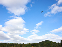 A U.S. Navy helicopter surveys damage from Hurricane Helene over Asheville, North Carolina on October 1, 2024. (