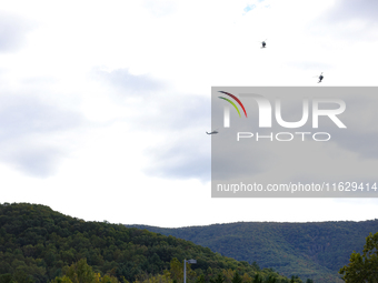 U.S. Navy helicopters survey damage from Hurricane Helene over Asheville, North Carolina on October 1, 2024. (