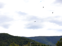 U.S. Navy helicopters survey damage from Hurricane Helene over Asheville, North Carolina on October 1, 2024. (