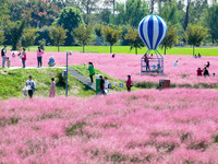 Tourists play in Pink Muhlygrass in Nanjing, China, on October 2, 2024. (