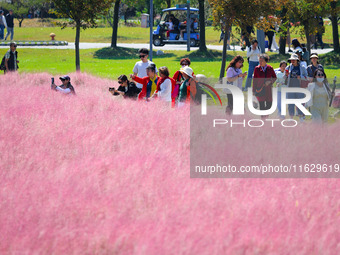 Tourists play in Pink Muhlygrass in Nanjing, China, on October 2, 2024. (