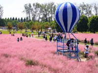 Tourists play in Pink Muhlygrass in Nanjing, China, on October 2, 2024. (