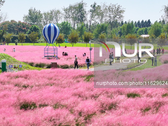 Tourists play in Pink Muhlygrass in Nanjing, China, on October 2, 2024. (