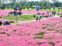 Tourists play in Pink Muhlygrass in Nanjing, China, on October 2, 2024. (