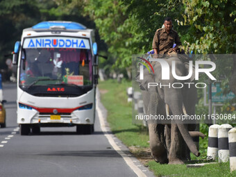 A mahout with their elephant near Kaziranga National Park in Nagaon District of Assam, India, on October 2, 2024. (