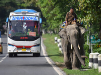 A mahout with their elephant near Kaziranga National Park in Nagaon District of Assam, India, on October 2, 2024. (