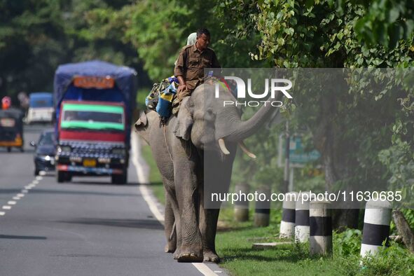 A mahout with their elephant near Kaziranga National Park in Nagaon District of Assam, India, on October 2, 2024. 