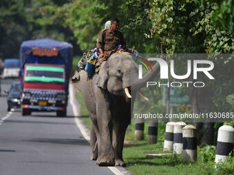 A mahout with their elephant near Kaziranga National Park in Nagaon District of Assam, India, on October 2, 2024. (