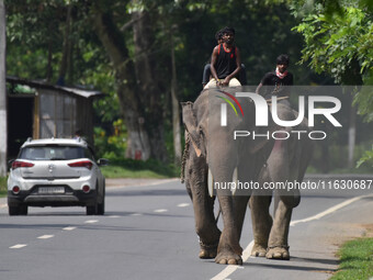 A mahout with their elephant near Kaziranga National Park in Nagaon District of Assam, India, on October 2, 2024. (