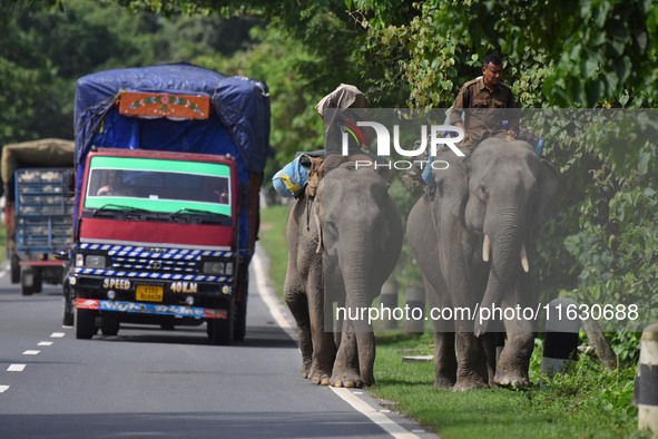 A mahout with their elephant near Kaziranga National Park in Nagaon District of Assam, India, on October 2, 2024. 