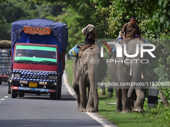 A mahout with their elephant near Kaziranga National Park in Nagaon District of Assam, India, on October 2, 2024. (