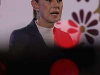 On October 2, 2024, in Mexico City, Mexico, Claudia Sheinbaum, President of Mexico, holds her first morning press conference at the National...