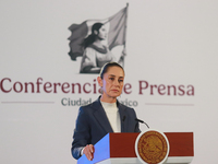 Claudia Sheinbaum Pardo, the first female President of Mexico, speaks during her first briefing conference of her six-year term. She talks a...