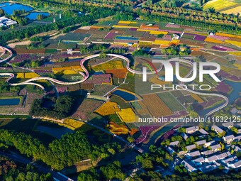 Tourists visit a field of flowers in Santaishan National Forest Park in Suqian, China, on October 2, 2024. (