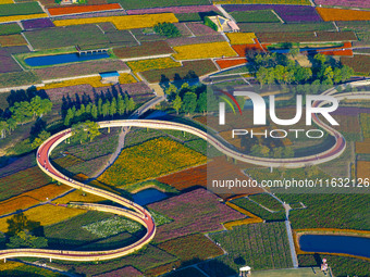 Tourists visit a field of flowers in Santaishan National Forest Park in Suqian, China, on October 2, 2024. (