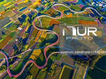 Tourists visit a field of flowers in Santaishan National Forest Park in Suqian, China, on October 2, 2024. (