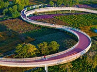 Tourists visit a field of flowers in Santaishan National Forest Park in Suqian, China, on October 2, 2024. (