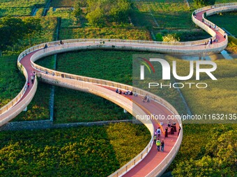 Tourists visit a field of flowers in Santaishan National Forest Park in Suqian, China, on October 2, 2024. (