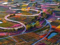 Tourists visit a field of flowers in Santaishan National Forest Park in Suqian, China, on October 2, 2024. (