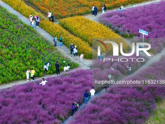 Tourists visit a field of flowers in Santaishan National Forest Park in Suqian, China, on October 2, 2024. (