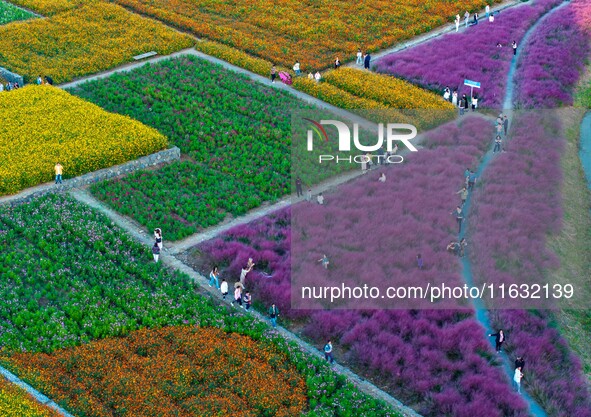 Tourists visit a field of flowers in Santaishan National Forest Park in Suqian, China, on October 2, 2024. 