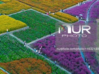 Tourists visit a field of flowers in Santaishan National Forest Park in Suqian, China, on October 2, 2024. (