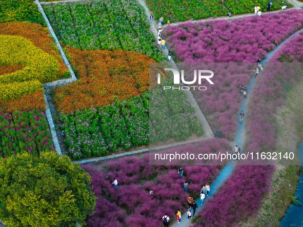 Tourists visit a field of flowers in Santaishan National Forest Park in Suqian, China, on October 2, 2024. 