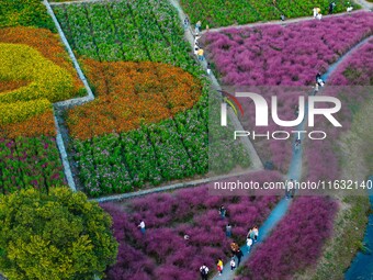 Tourists visit a field of flowers in Santaishan National Forest Park in Suqian, China, on October 2, 2024. (