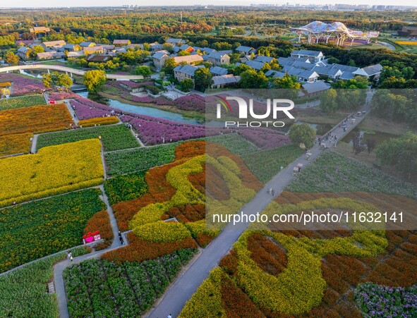 Tourists visit a field of flowers in Santaishan National Forest Park in Suqian, China, on October 2, 2024. 