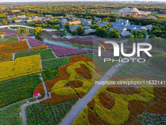 Tourists visit a field of flowers in Santaishan National Forest Park in Suqian, China, on October 2, 2024. (