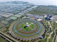 Participants take part in a fishing contest at Sihong International Round Pond in Suqian, China, on October 2, 2024. (