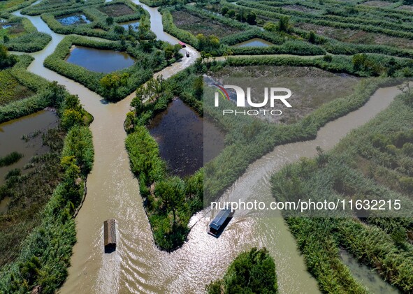 Tourists ride a bamboo raft at Hongze Lake Wetland Park in Suqian, China, on October 2, 2024. 