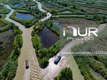 Tourists ride a bamboo raft at Hongze Lake Wetland Park in Suqian, China, on October 2, 2024. (