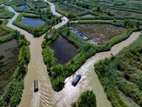 Tourists ride a bamboo raft at Hongze Lake Wetland Park in Suqian, China, on October 2, 2024. (