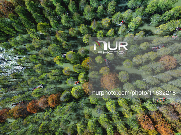 Tourists ride a bamboo raft at Hongze Lake Wetland Park in Suqian, China, on October 2, 2024. 