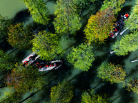 Tourists ride a bamboo raft at Hongze Lake Wetland Park in Suqian, China, on October 2, 2024. (