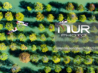 Tourists ride a bamboo raft at Hongze Lake Wetland Park in Suqian, China, on October 2, 2024. (