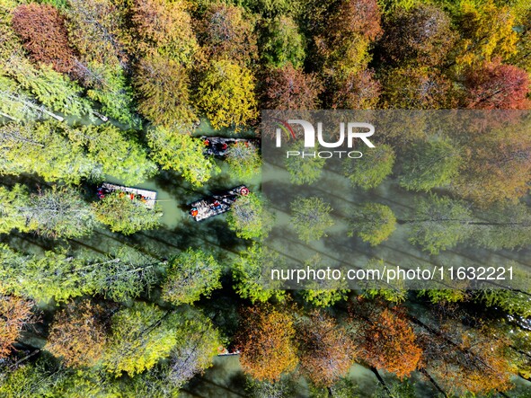 Tourists ride a bamboo raft at Hongze Lake Wetland Park in Suqian, China, on October 2, 2024. 