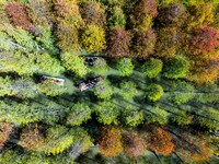 Tourists ride a bamboo raft at Hongze Lake Wetland Park in Suqian, China, on October 2, 2024. (