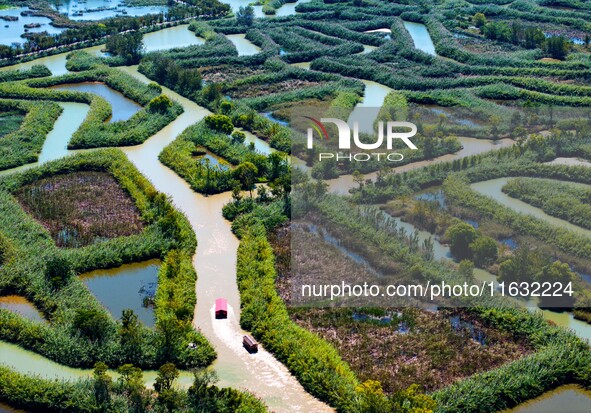 Tourists ride a bamboo raft at Hongze Lake Wetland Park in Suqian, China, on October 2, 2024. 