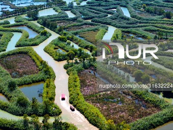 Tourists ride a bamboo raft at Hongze Lake Wetland Park in Suqian, China, on October 2, 2024. (