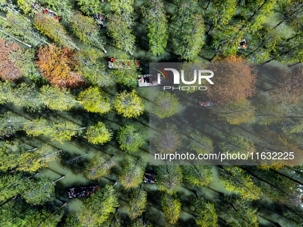 Tourists ride a bamboo raft at Hongze Lake Wetland Park in Suqian, China, on October 2, 2024. 