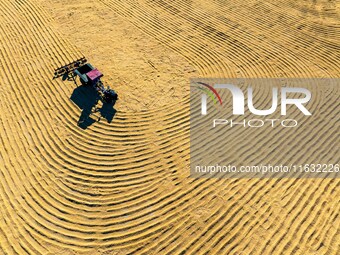 A worker dries rice at a sun-drying farm in Suqian, Jiangsu province, China, on October 2, 2024. (