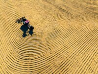 A worker dries rice at a sun-drying farm in Suqian, Jiangsu province, China, on October 2, 2024. (