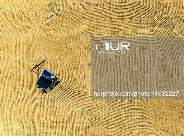 A worker dries rice at a sun-drying farm in Suqian, Jiangsu province, China, on October 2, 2024. 